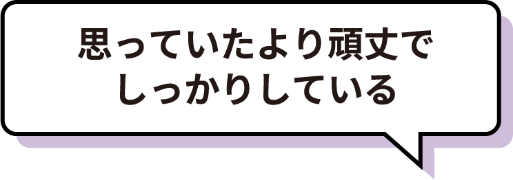 思っていたより頑丈で
しっかりしている